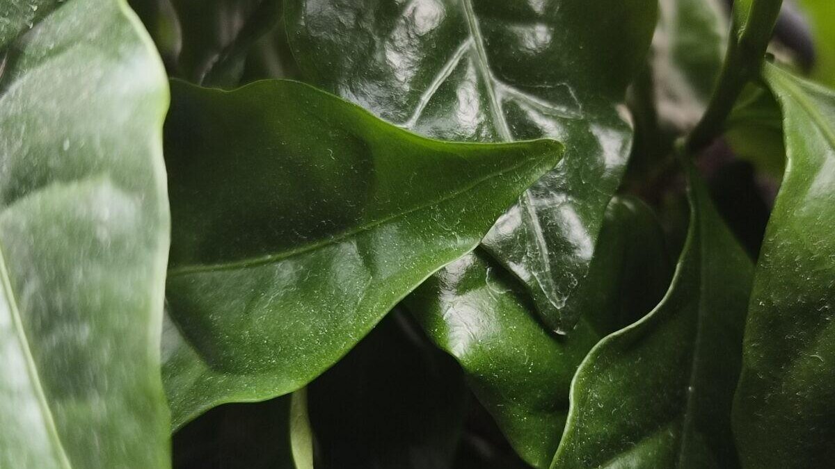 img 20230416 005323 170@ 1201689984 scaled