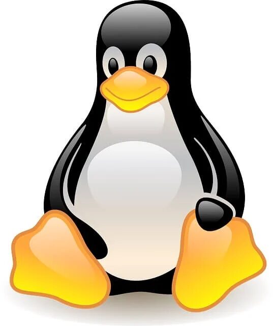 Как превратить Xbox One в домашний ПК? 7 linux penguin
