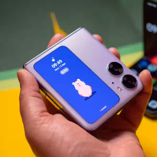 plxueeqpnsum8a5er3xpqg 1920 80.jpg