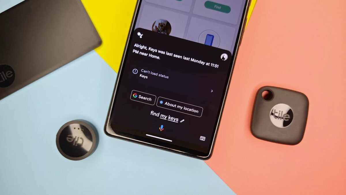 sus2pvx9wlq2qodyryd8y6 1920 80.jpg