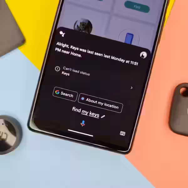 sus2pvx9wlq2qodyryd8y6 1920 80.jpg