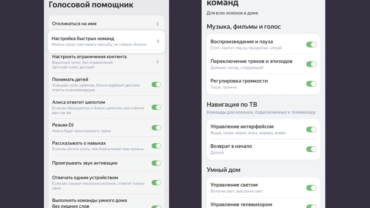 Алиса стала понимать команды без прямого обращения к ней 3 untitled