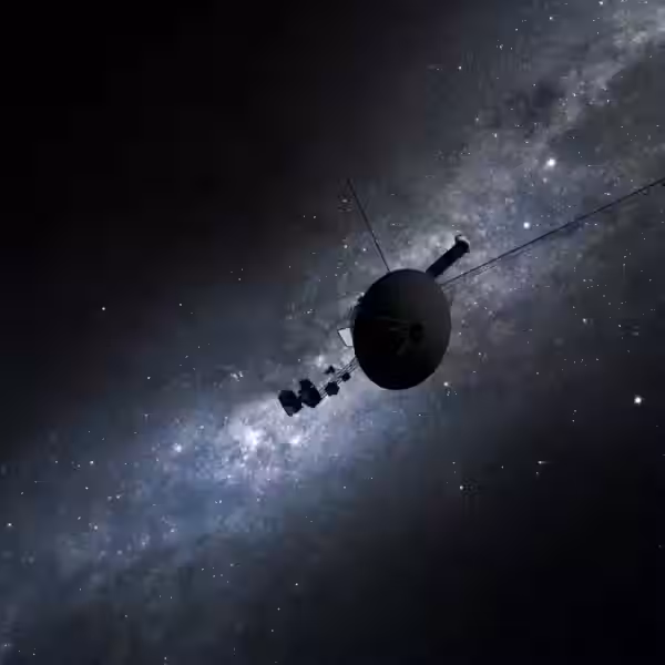 adobestock 450645664.jpg