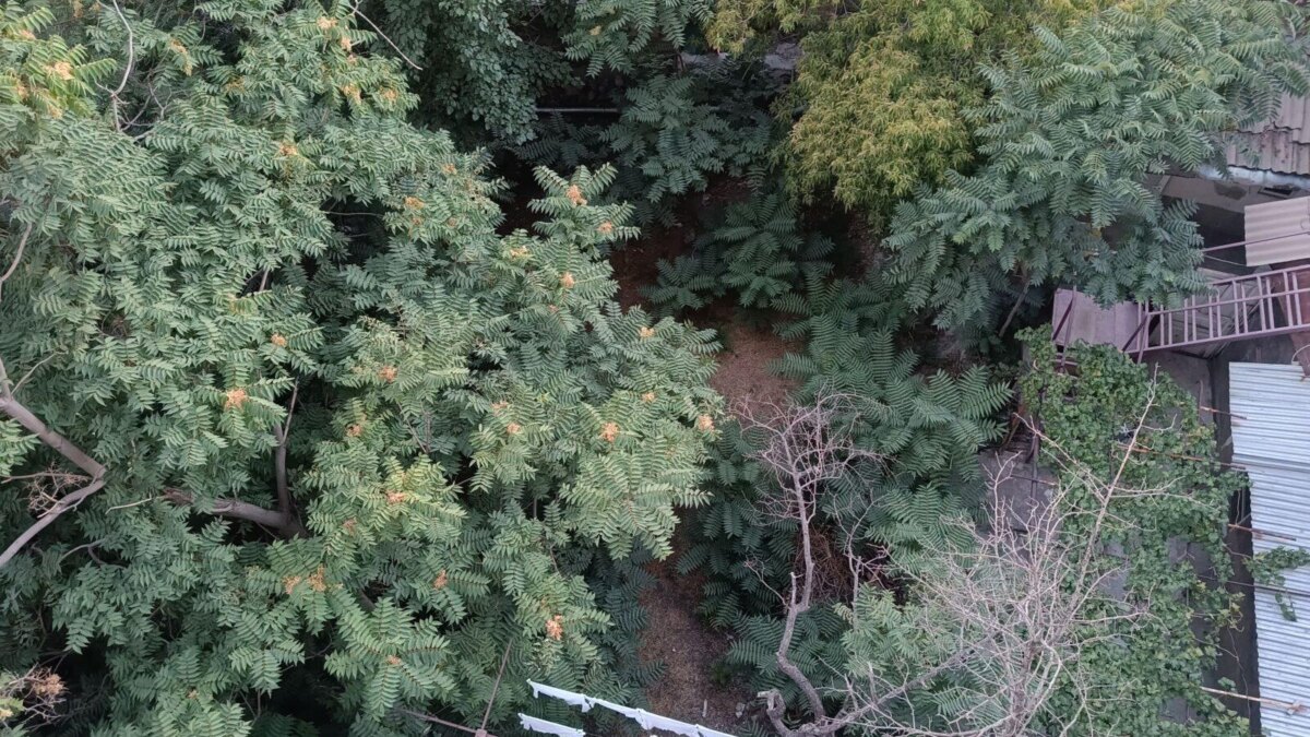 img20230817185802 scaled