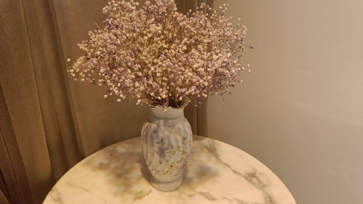 img20230817185838 scaled