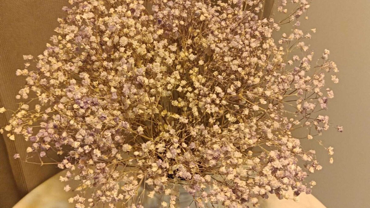 img20230817185848 scaled