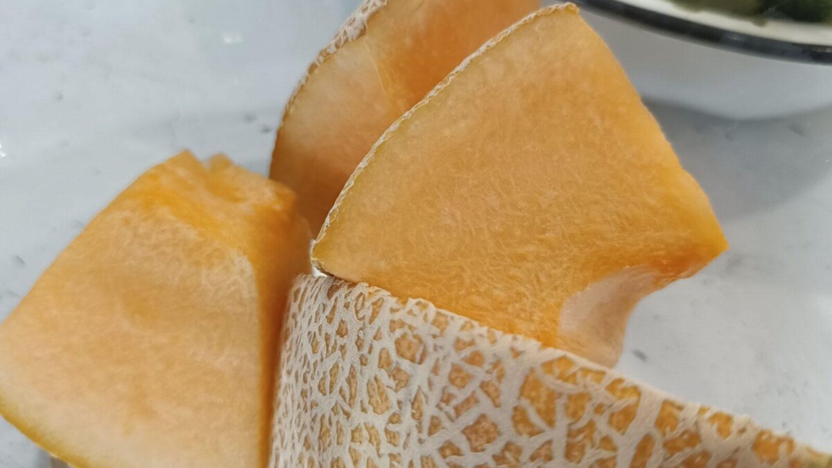 img20230817190012 scaled