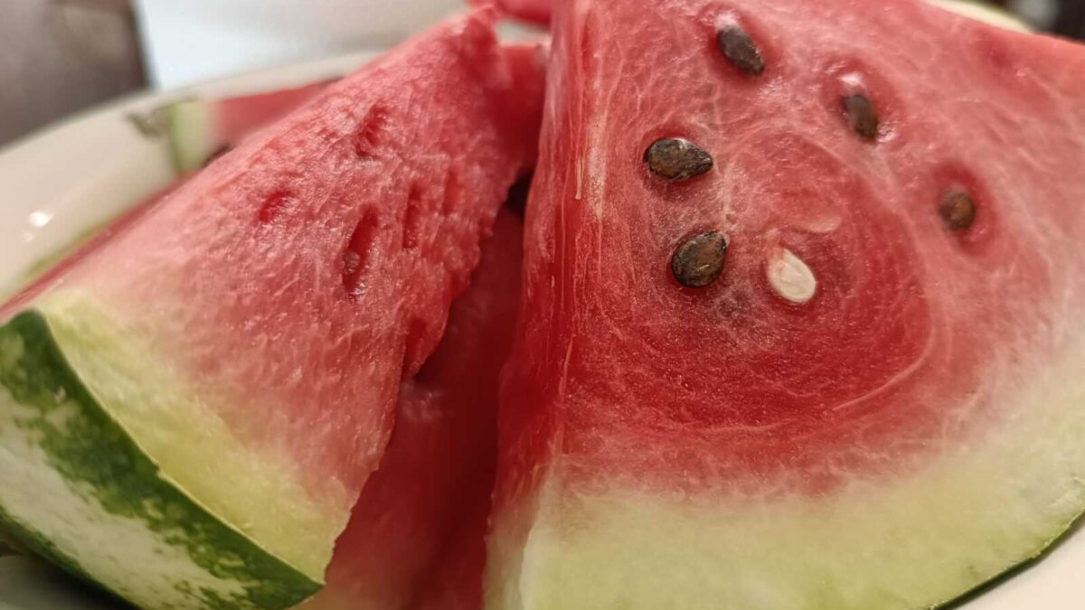 img20230817190019 scaled