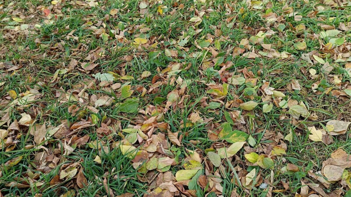 Обзор realme 11: свежий средний класс 76 img20231010143553 scaled