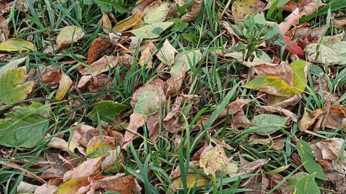 Обзор realme 11: свежий средний класс 78 img20231010143557 scaled