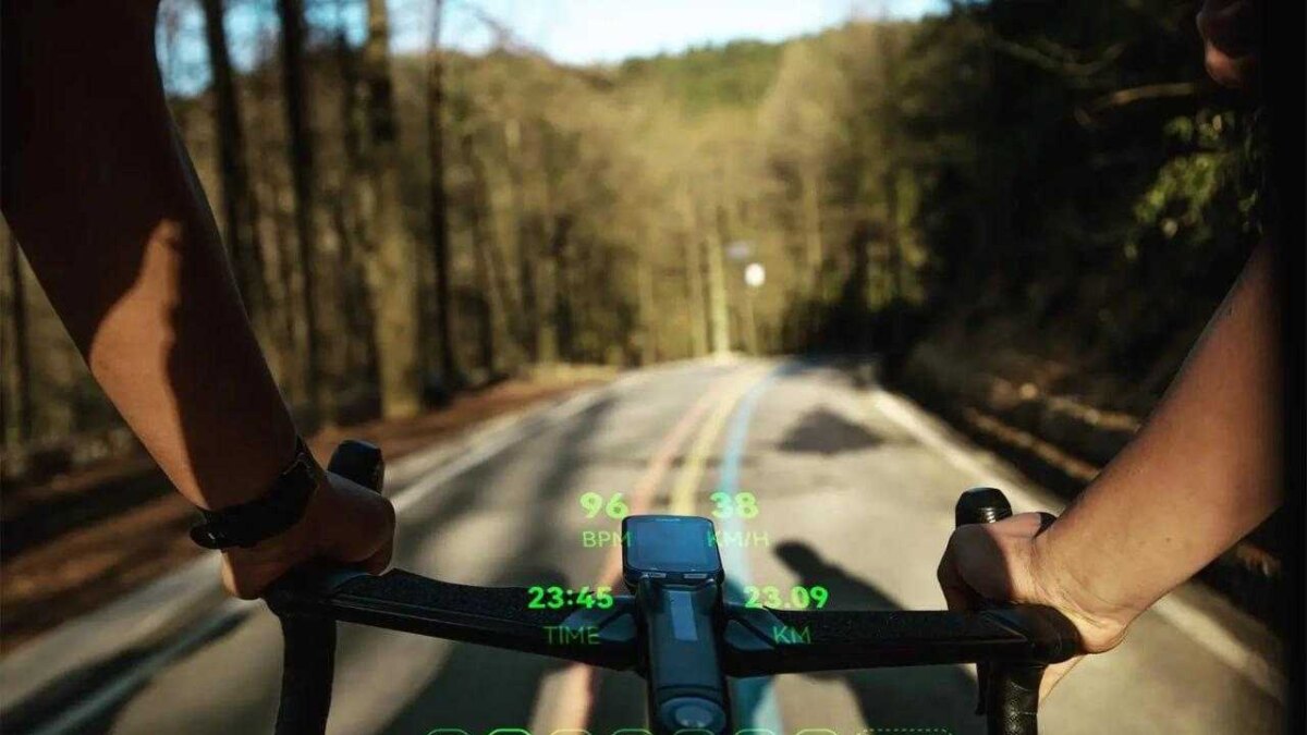 photo 2023 10 08 11 51 31 2