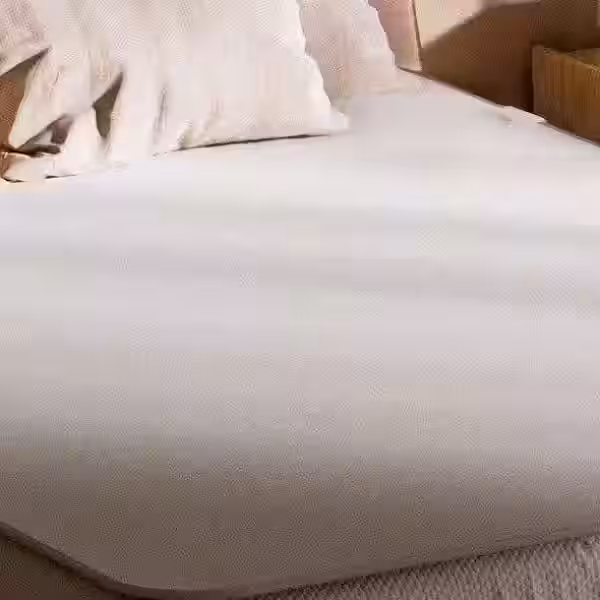 photo 2023 10 16 15 32 50