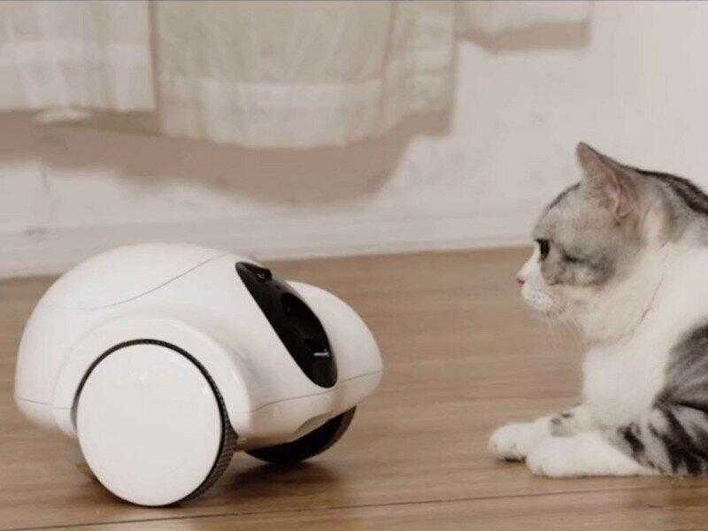 Guliguli Hiibo — мини-робот, который заботится о домашних животных 3 scale 1200 2 3