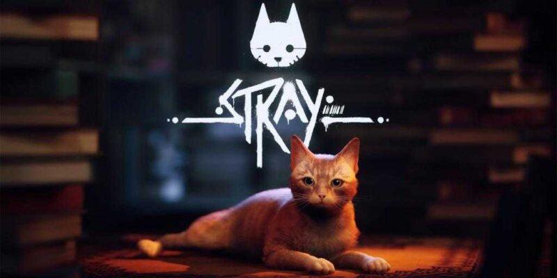Stray выйдет на Mac в App Store и Steam 5 декабря (0vnhuquqz7sly8iw58d84366efk5qprs)