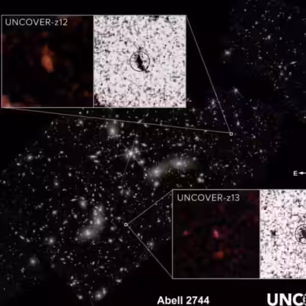 8f9c3b99 d6254a95e5d5d89c1582877879838108 1024x769 1