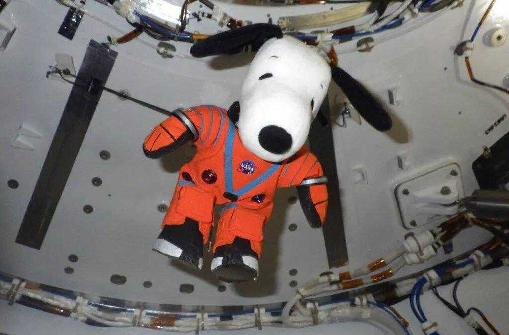 photo 2023 11 03 12 02 42