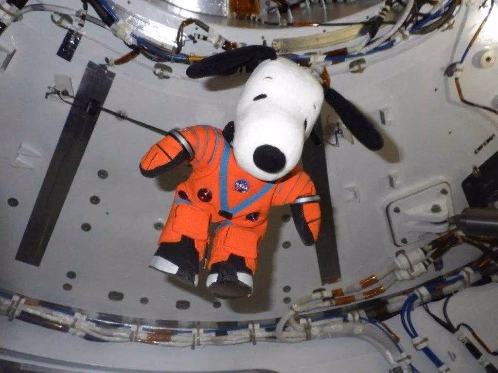 NASA запускает «космический Netflix», бесплатно, без рекламы и подписки 2 photo 2023 11 03 12 02 42