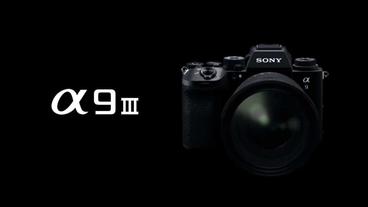 photo 2023 11 08 10 34 49