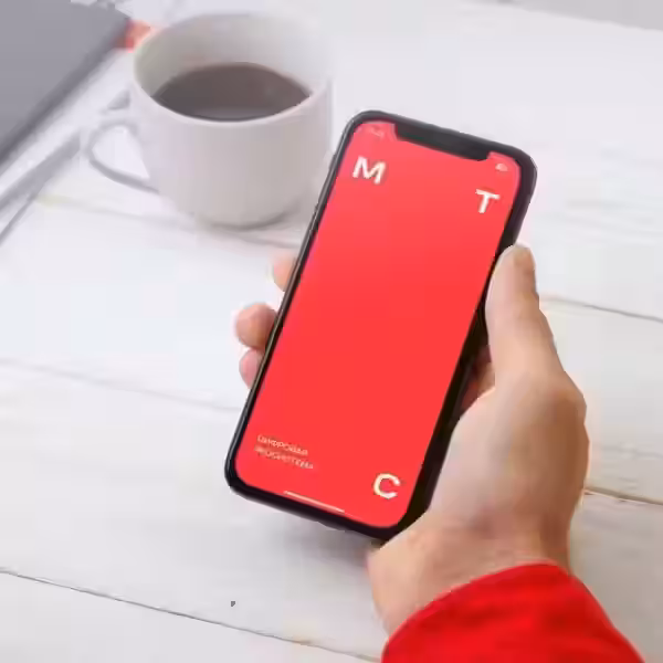 photo 2023 11 08 12 39 48