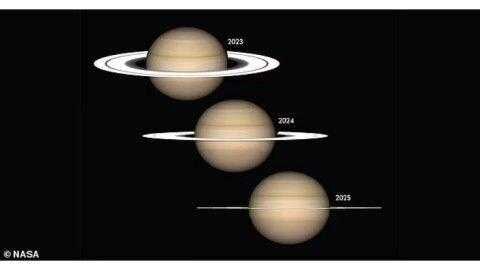 photo 2023 11 11 15 30 00 2