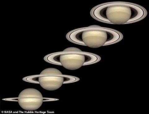 photo 2023 11 11 15 30 00 3