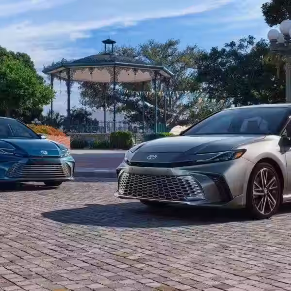 photo 2023 11 15 10 07 15