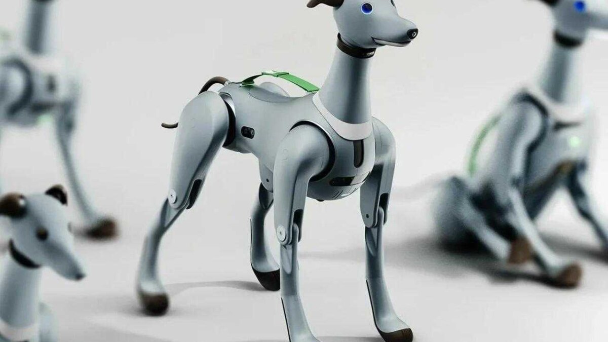 photo 2023 11 21 15 14 11