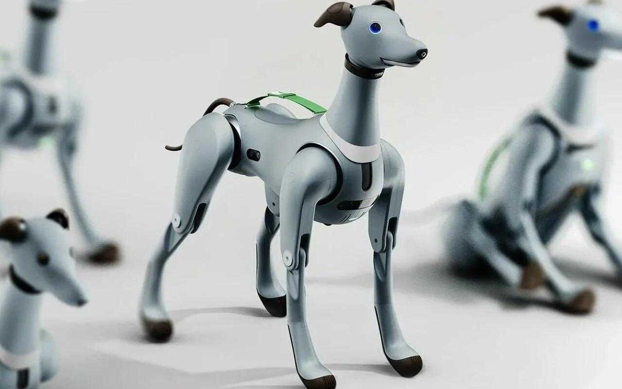 Представлена робособака для космонавтов — Laika 4 photo 2023 11 21 15 14 11