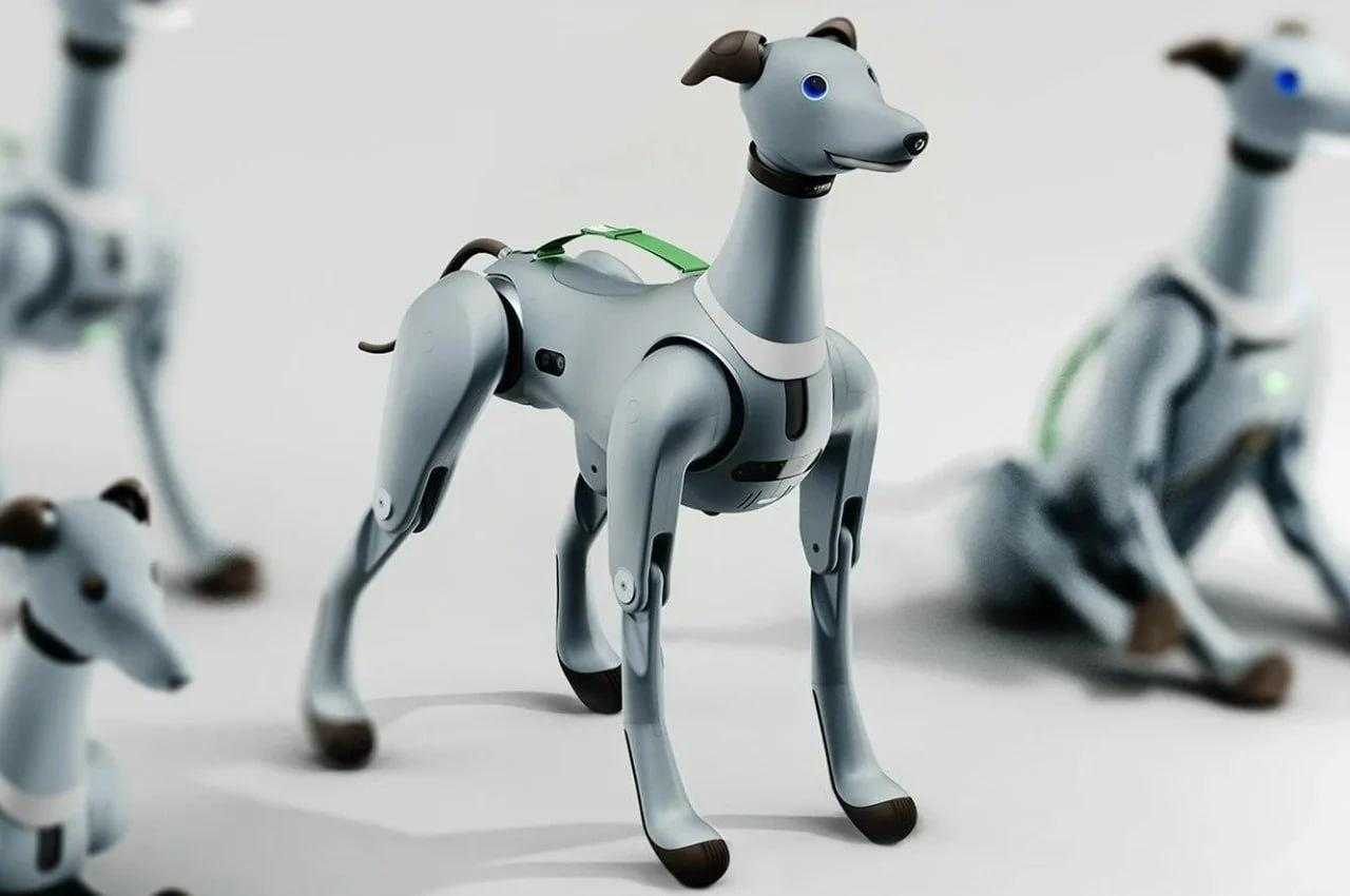 Представлена робособака для космонавтов — Laika