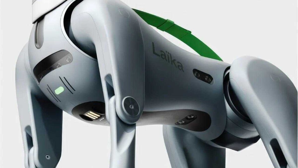 photo 2023 11 21 15 14 12