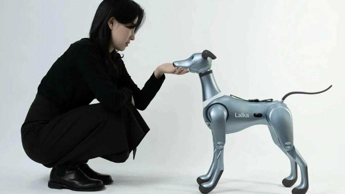 photo 2023 11 21 15 14 12 2