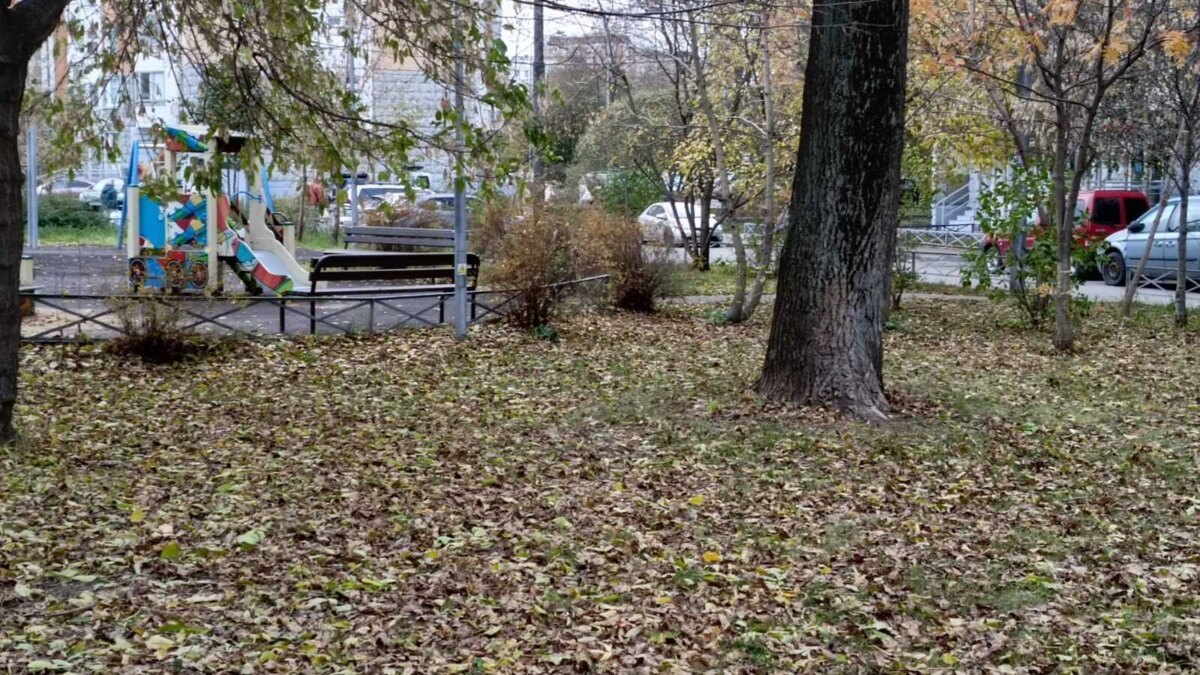 img 20231026 161305 381 scaled