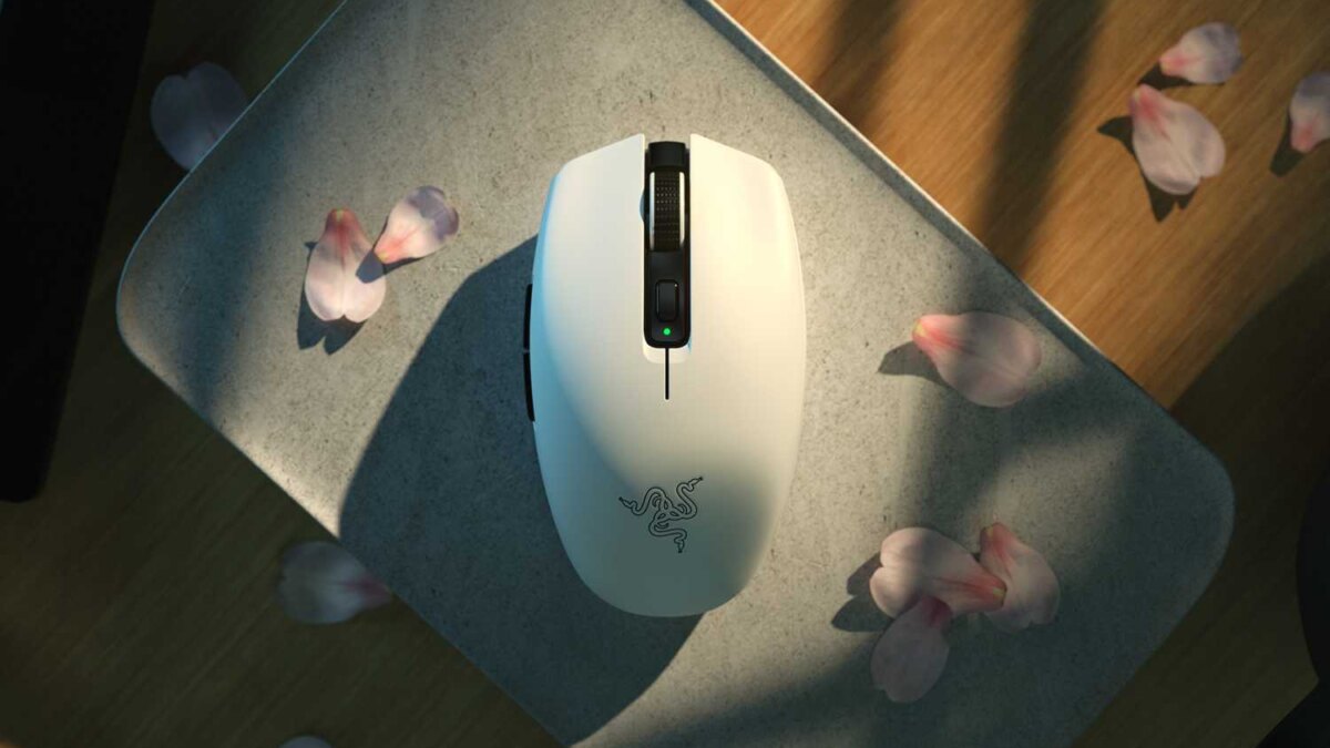 Лучшие игровые мыши в 2023 году 13 white key visual