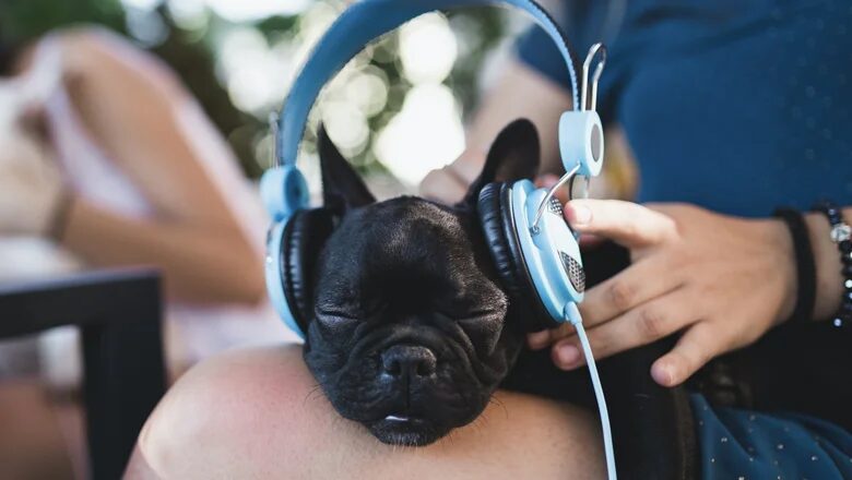 aqakcd2sasfog9zcnesyqcqf dvljazcamu6zsanybguewiau8jzk5wkqssom0jk bwabtvlvcga lfrjh4ped2h9vi