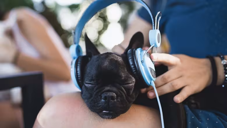 aqakcd2sasfog9zcnesyqcqf dvljazcamu6zsanybguewiau8jzk5wkqssom0jk bwabtvlvcga lfrjh4ped2h9vi