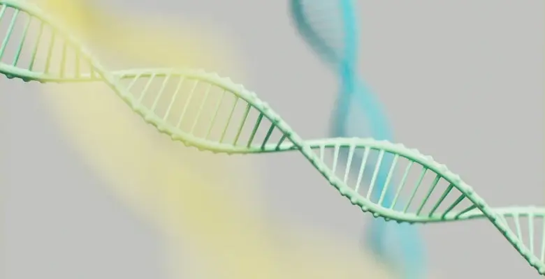 Biomemory выпустил портативный накопитель, который использует нити ДНК (aqakhpqmnfcqwcdezirvgbmkay9juhqxutw hu0eqnslr pd90wka4hruumpg5vwzywse946wd03qaxuiayl prnzta)