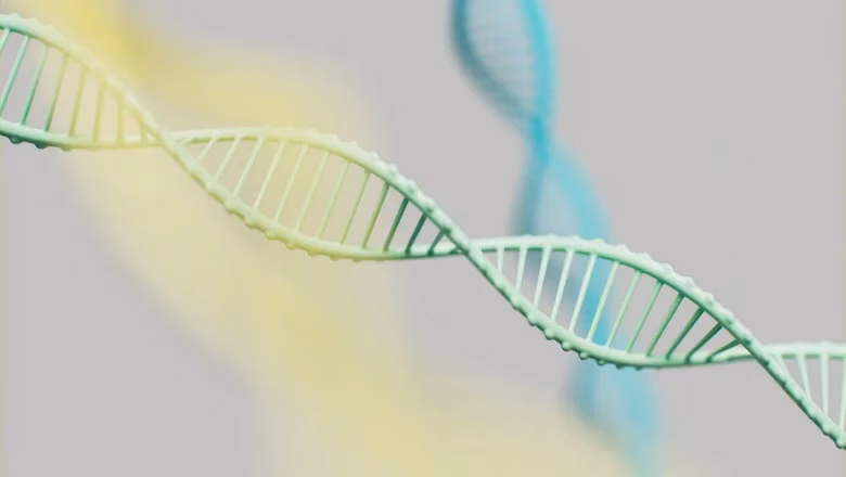 Biomemory выпустил портативный накопитель, который использует нити ДНК 3 aqakhpqmnfcqwcdezirvgbmkay9juhqxutw hu0eqnslr pd90wka4hruumpg5vwzywse946wd03qaxuiayl prnzta