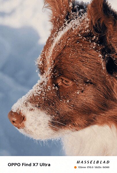 Oppo показала возможности камеры смартфона Find X7 5 image 10