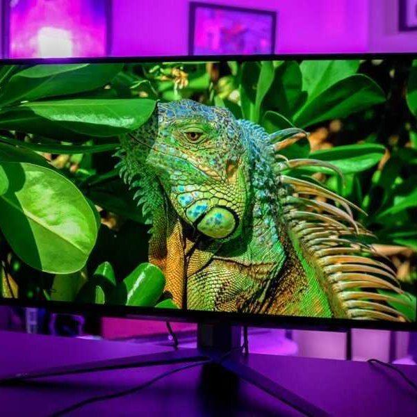 LG Display готовит к выпуску новый OLED-монитор для геймеров (scale 1200 3 2)