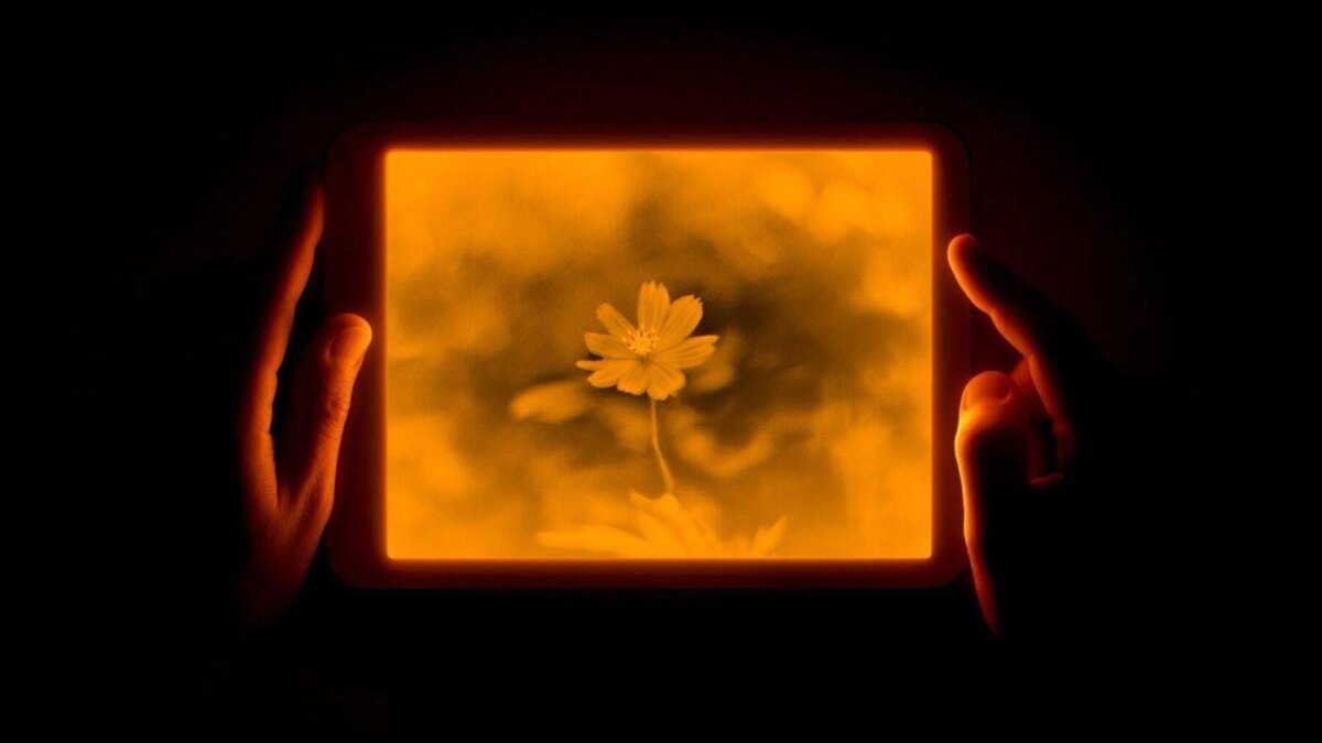 Daylight Computer Company выпустил планшет с экраном из «живой бумаги» – Daylight Tablet 1 daylight tablet