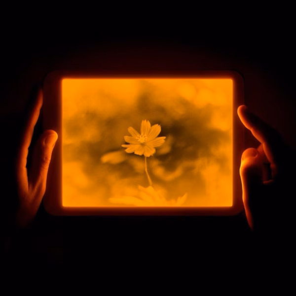 daylight tablet