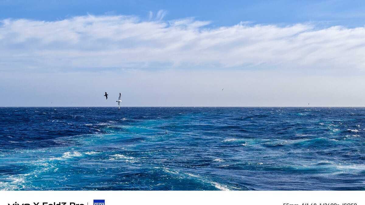 Дизайн складного vivo X Fold 3 подтвержден производителем 13 scale 1200 8 5