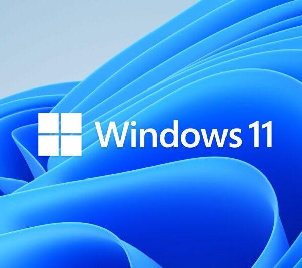 Microsoft не будет обновлять вашу Windows 11, если установлены эти приложения (hero bloom logo 800x533 1)