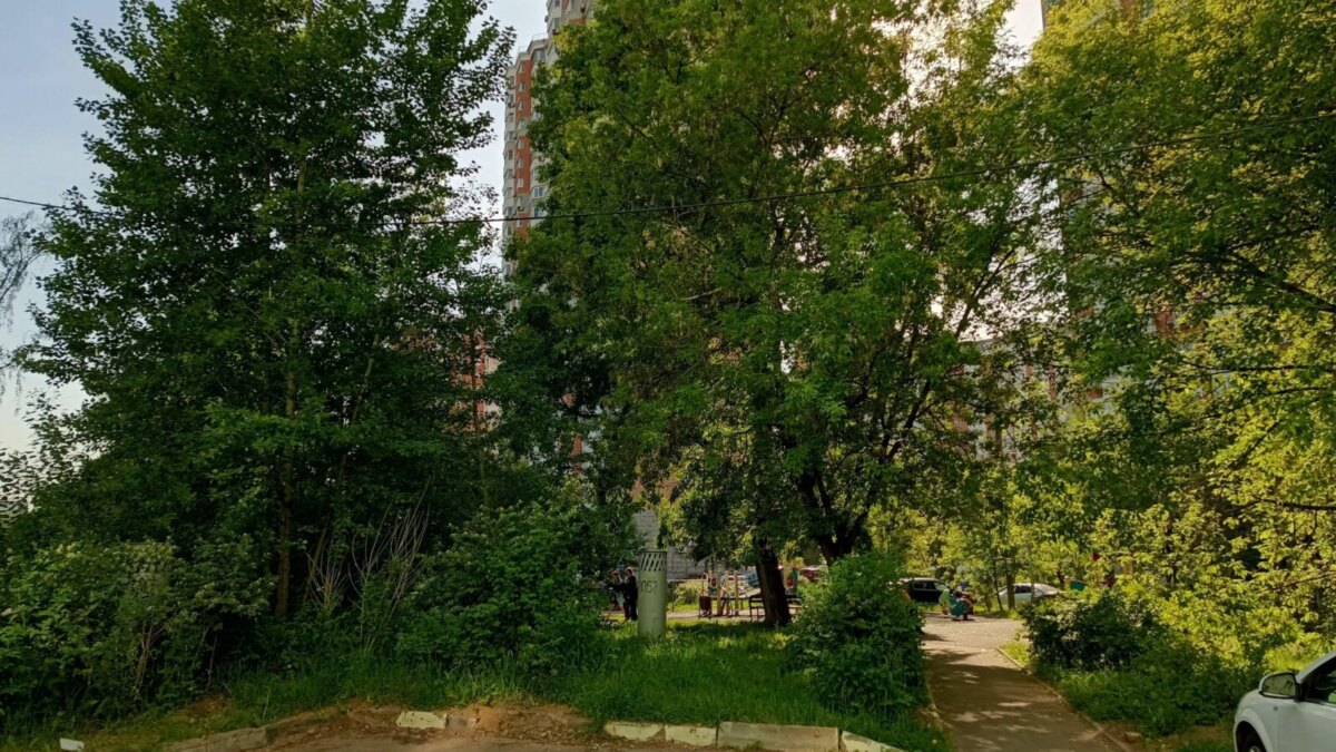 img 20240524 164203 811 scaled