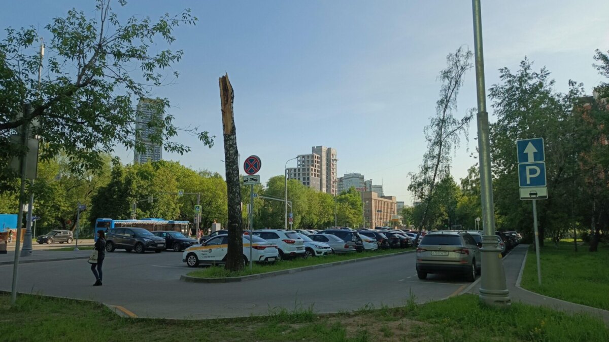 img 20240524 164233 636 scaled