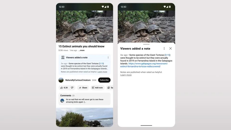 b333dc60 2cc3 11ef bfff e6b10174ddc4