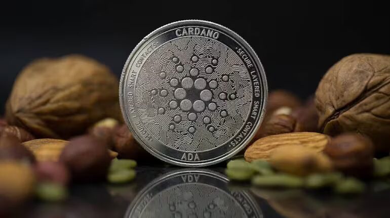 Основатель Cardano ответил на комментарии о «мертвой монете» 2 cardano cryptocurrency 770x433.jpg
