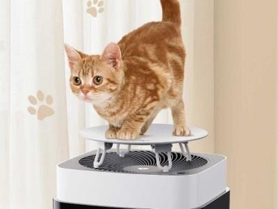 Xiaomi показал очиститель воздуха с подставкой для кошки - Beon X3 Pet Air Purifier 4 scale 2400