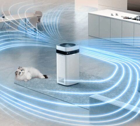 vibcwp6z1tkz2yxf2d8kkht79wdgmdz29 1