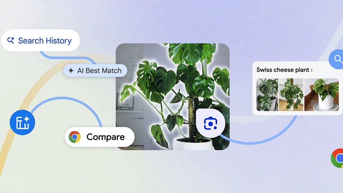 img 2024 08 01 133848 218